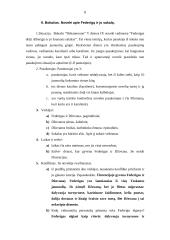 Renesanso literatūra - viskas, ką reikia žinoti 8 puslapis
