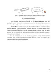 Temperatūros matavimo būdai ir metodai 13 puslapis