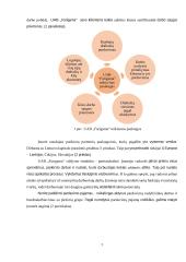 PVM taikymas ir apskaita uždarojoje akcinėje bendrovėje  “Farigama”  6 puslapis