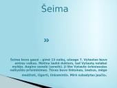 Apie Vytautą Mačernį 3 puslapis