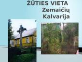 Apie Vytautą Mačernį 6 puslapis