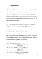 Ižinerinių sprendimų ekonominis pagrindimas 12 puslapis