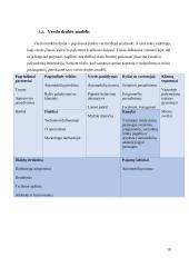 Ižinerinių sprendimų ekonominis pagrindimas 17 puslapis