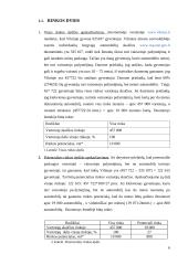 Ižinerinių sprendimų ekonominis pagrindimas 5 puslapis