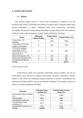 Ižinerinių sprendimų ekonominis pagrindimas 7 puslapis