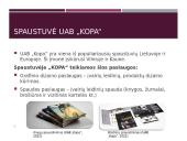 Spaudos technologijų srities specialistų išsilavinimo stoka darbo rinkoje 3 puslapis