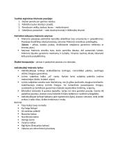 Romantizmo literatūroje konspektas 5 puslapis