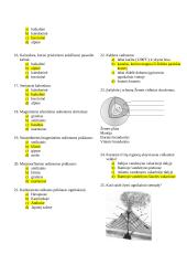 Žemės sandara ir vidinės jėgos. Testas su atsakymais 2 puslapis
