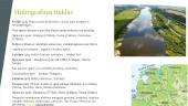 Baltijos šalių gamta (skaidrės) 14 puslapis