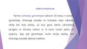 Pagrindinių šalies rodiklių analizė 11 puslapis