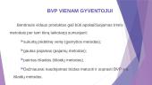Pagrindinių šalies rodiklių analizė 16 puslapis