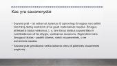Pilietiškumas. Savanorystė 2 puslapis