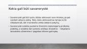 Pilietiškumas. Savanorystė 5 puslapis