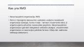 Pilietiškumas. Savanorystė 6 puslapis
