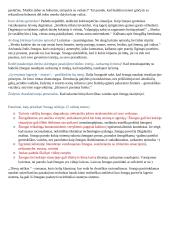 Klausimai egzaminui apie Sruogos kūrybą 2 puslapis