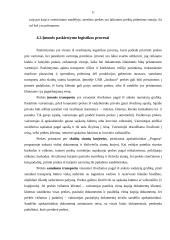 Praktikos ataskaita UAB Jaukurai 11 puslapis