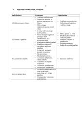 Praktikos ataskaita UAB Jaukurai 20 puslapis