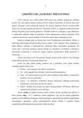 Praktikos ataskaita UAB Jaukurai 3 puslapis