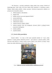 Atliekos ir jų tvarkymas (tyrimas) 6 puslapis