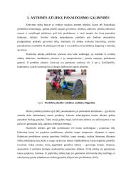 Atliekos ir jų tvarkymas (tyrimas) 8 puslapis