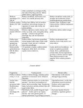 K. Donelaičio „Metų“ detali analizė 3 puslapis