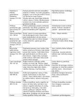 K. Donelaičio „Metų“ detali analizė 7 puslapis