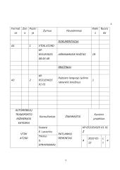 Ratlankių remontas 2 puslapis