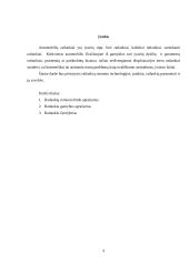 Ratlankių remontas 3 puslapis