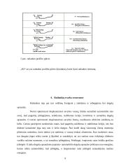 Ratlankių remontas 8 puslapis