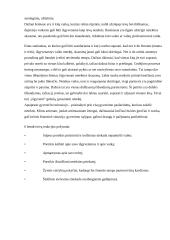 Pagalbos būdai šeimai išgyvenančiai netektį 5 puslapis