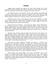 Kalbos klaidos, aptinkamos televizijoje 11 puslapis