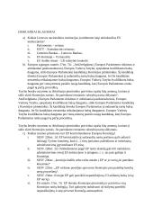 ES institucijų sistema ir kompetencijos 16 puslapis