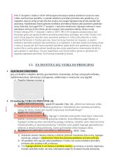 ES institucijų sistema ir kompetencijos 3 puslapis