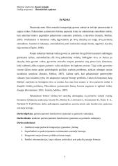 Patėvio / pamotės bendravimo ypatumai su partnerio vaiku(ais) 2 puslapis