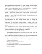 Vinted analizė 3 puslapis