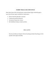 Technolohijų egzaminas - automobilio lizingas 4 puslapis