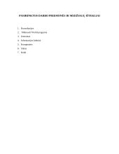 Technolohijų egzaminas - automobilio lizingas 6 puslapis