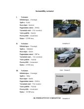 Technolohijų egzaminas - automobilio lizingas 8 puslapis