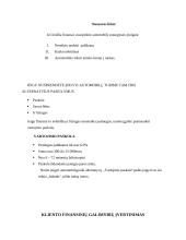 Technolohijų egzaminas - automobilio lizingas 9 puslapis