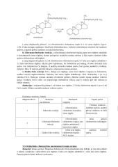 Maisto biochemija 11 puslapis