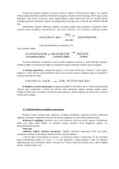 Maisto biochemija 13 puslapis