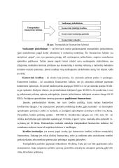 Finansavimo šaltiniai (konspektas) 2 puslapis