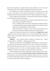 Finansavimo šaltiniai (konspektas) 4 puslapis