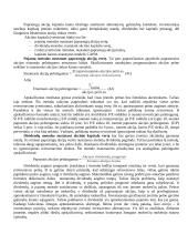 Kapitalo struktūra ir kaina 11 puslapis