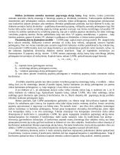 Kapitalo struktūra ir kaina 12 puslapis