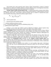 Kapitalo struktūra ir kaina 13 puslapis