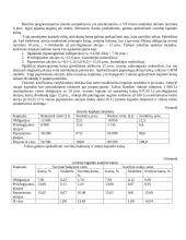 Kapitalo struktūra ir kaina 15 puslapis