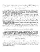 Kapitalo struktūra ir kaina 3 puslapis