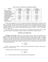 Kapitalo struktūra ir kaina 5 puslapis