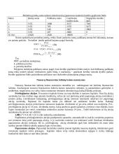 Kapitalo struktūra ir kaina 10 puslapis